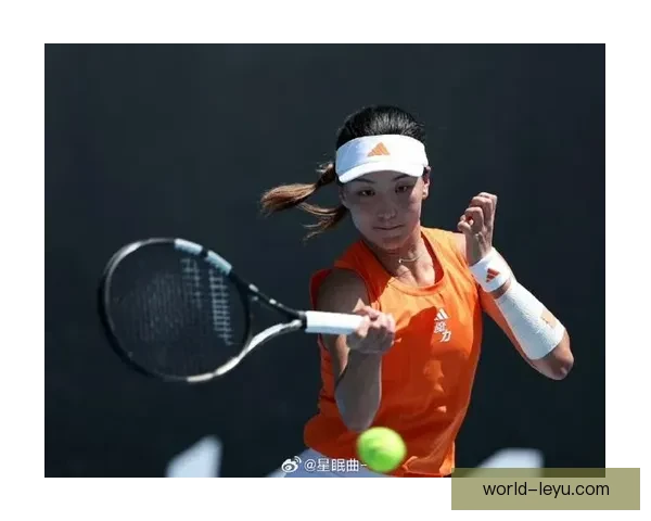 网球赛场风云再起顶尖选手激烈角逐年度大满贯荣誉