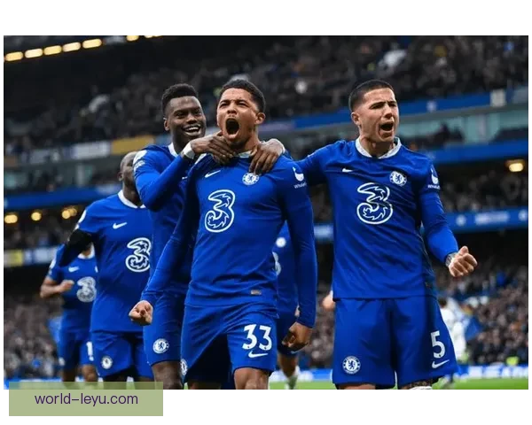 埃弗顿最新动态：球队引援策略与未来赛季展望解析